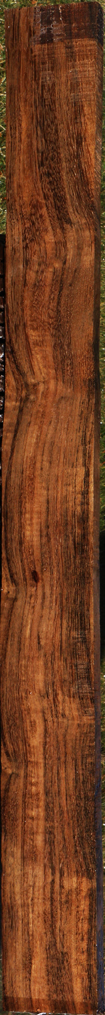 Extra Fancy Indian Laurel Lumber