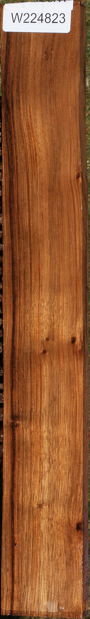 Indian Laurel Lumber
