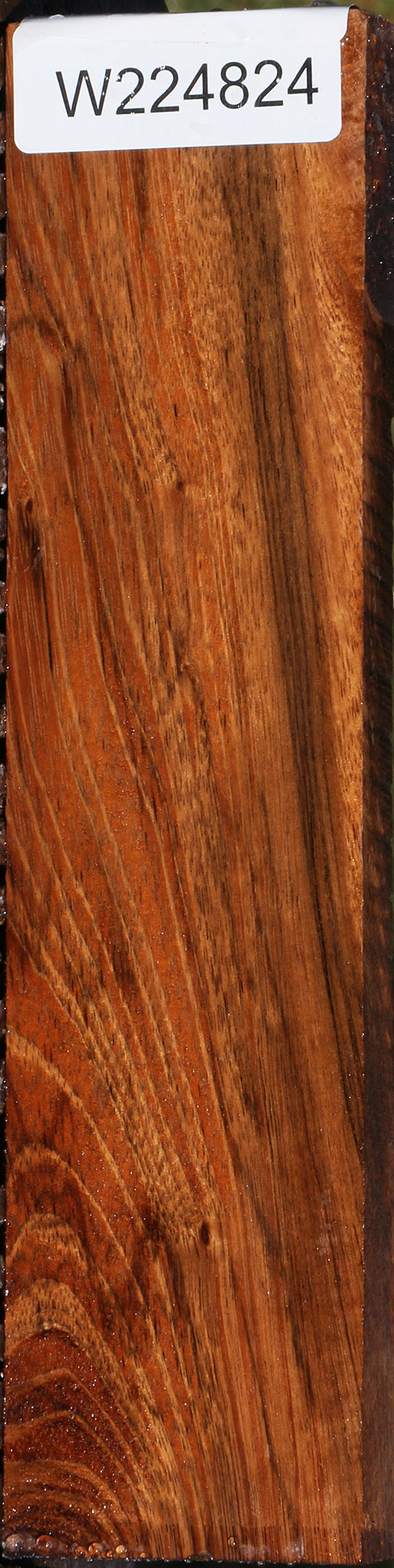 Indian Laurel Lumber