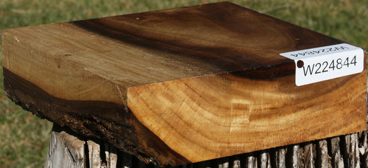 East Indian Rosewood Bowl Blank