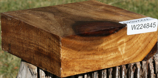 East Indian Rosewood Bowl Blank