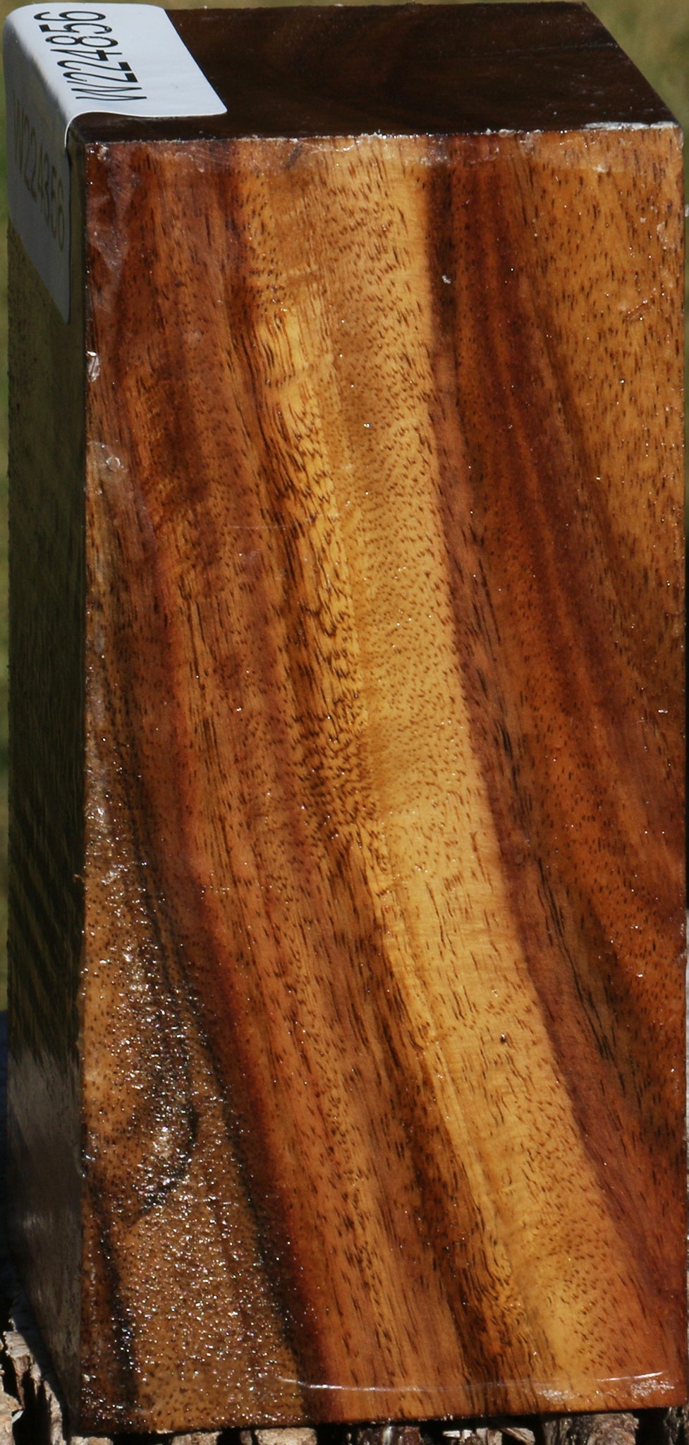 East Indian Rosewood Turning Square