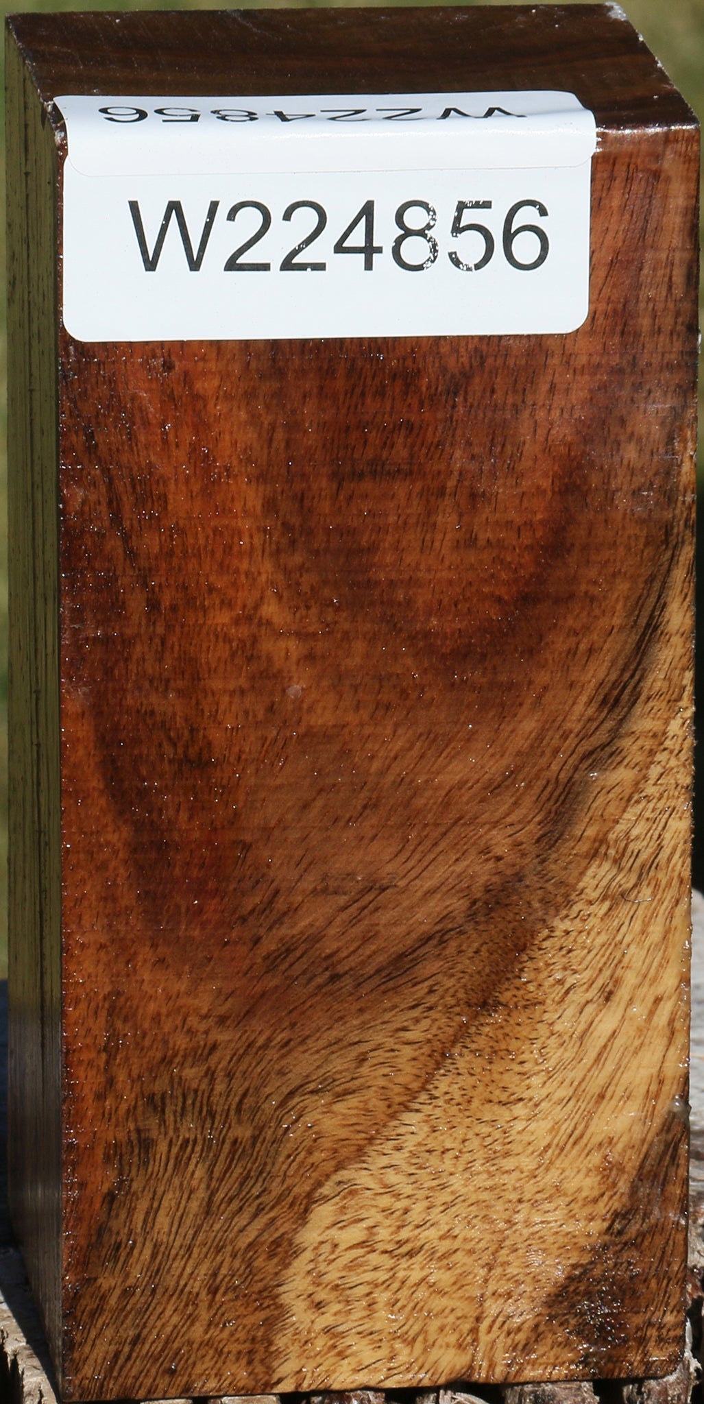 East Indian Rosewood Turning Square