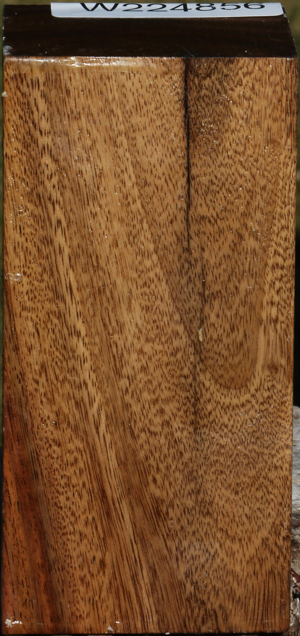 East Indian Rosewood Turning Square