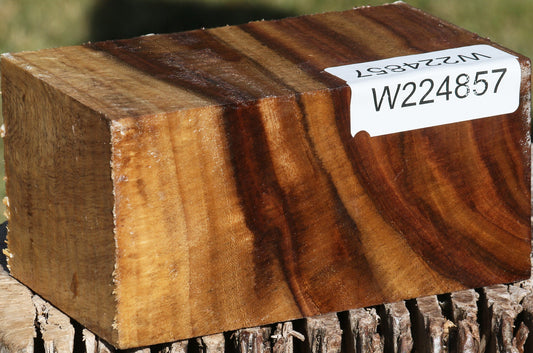 East Indian Rosewood Bowl Blank