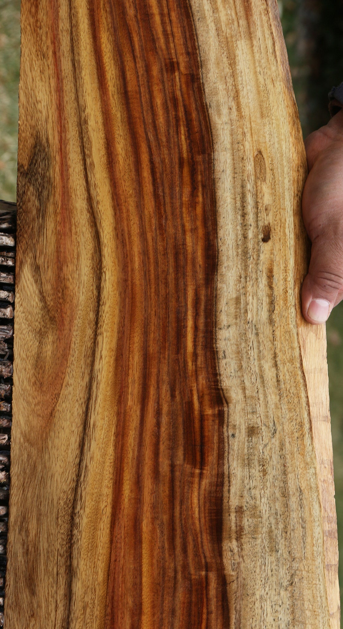 Extra Fancy East Indian Rosewood Live Edge Lumber