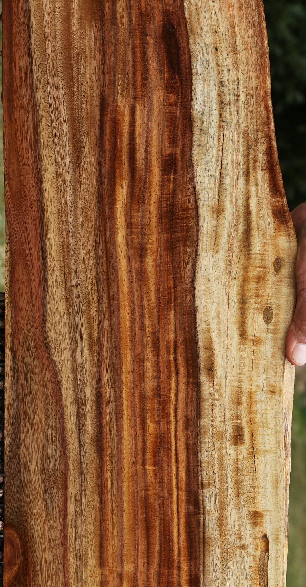 Extra Fancy East Indian Rosewood Live Edge Lumber