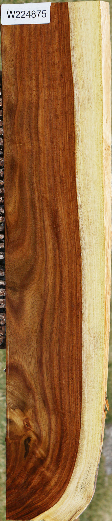 East Indian Rosewood Live Edge Lumber