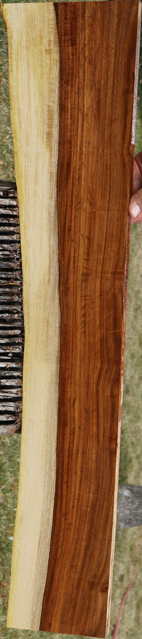 East Indian Rosewood Live Edge Lumber