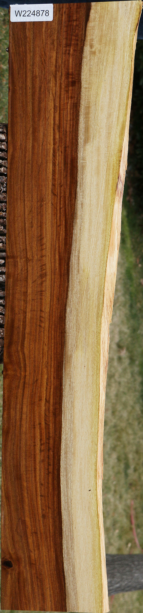 Figured East Indian Rosewood Live Edge Lumber