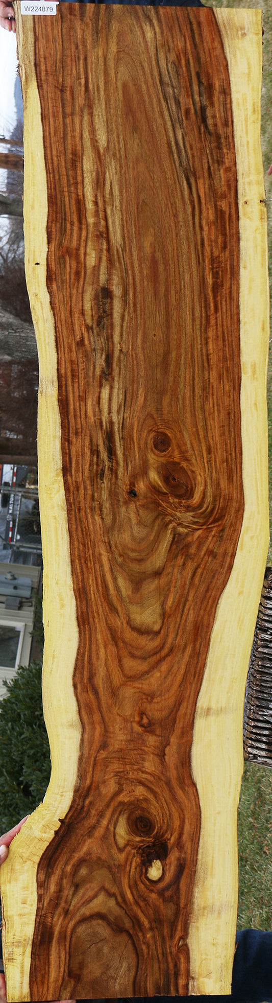 Extra Fancy East Indian Rosewood Live Edge Lumber