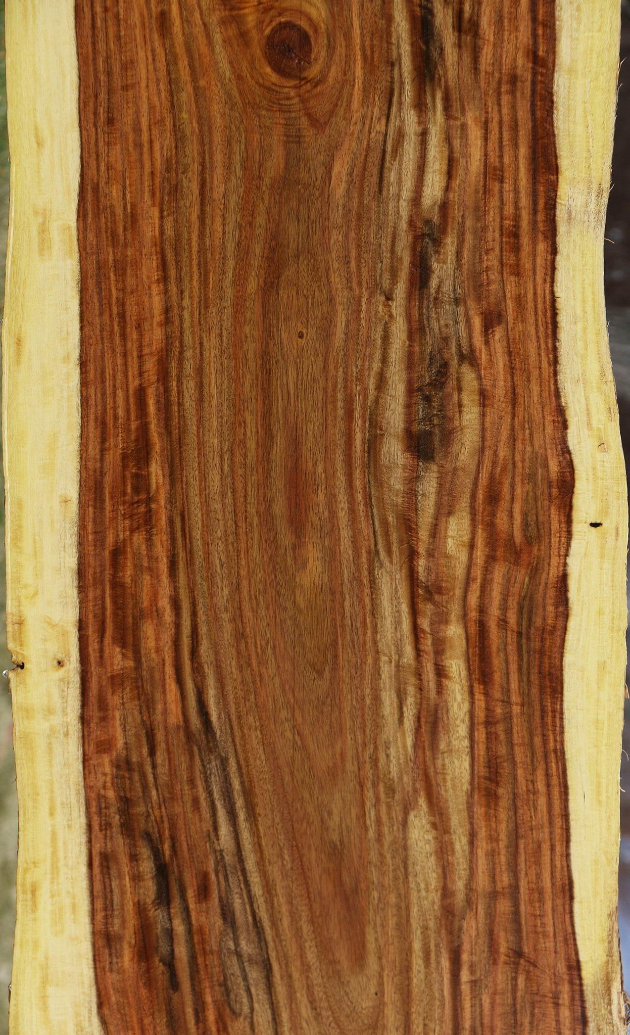 Extra Fancy East Indian Rosewood Live Edge Lumber