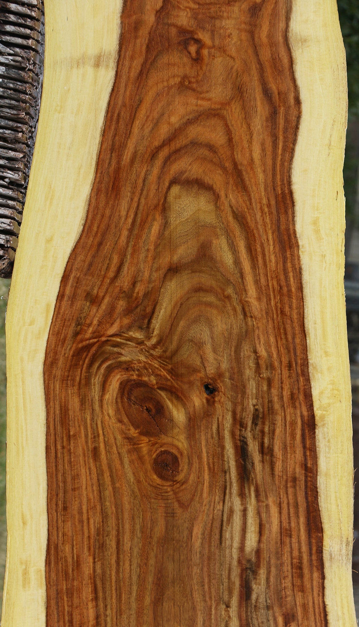 Extra Fancy East Indian Rosewood Live Edge Lumber