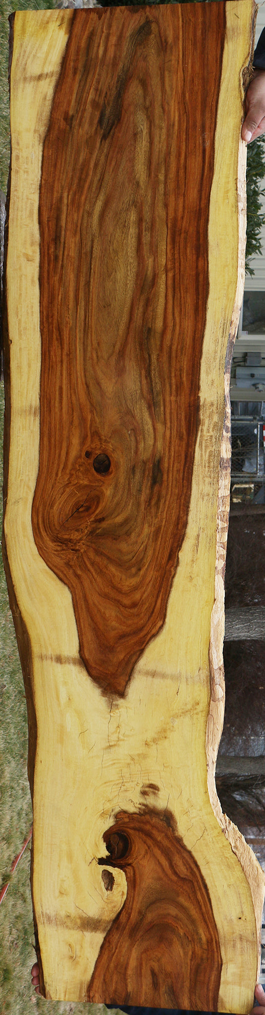 Extra Fancy East Indian Rosewood Live Edge Lumber