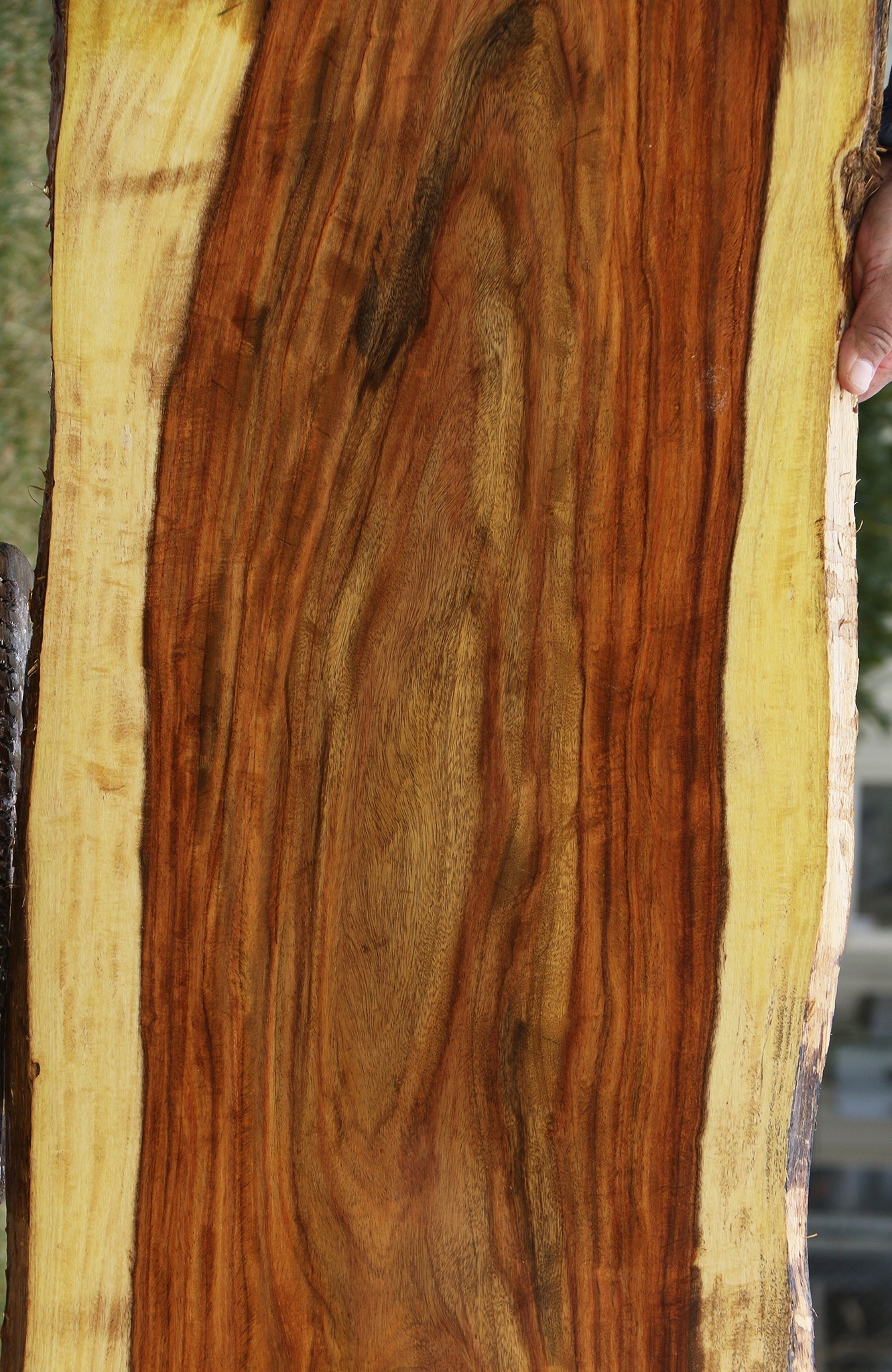 Extra Fancy East Indian Rosewood Live Edge Lumber