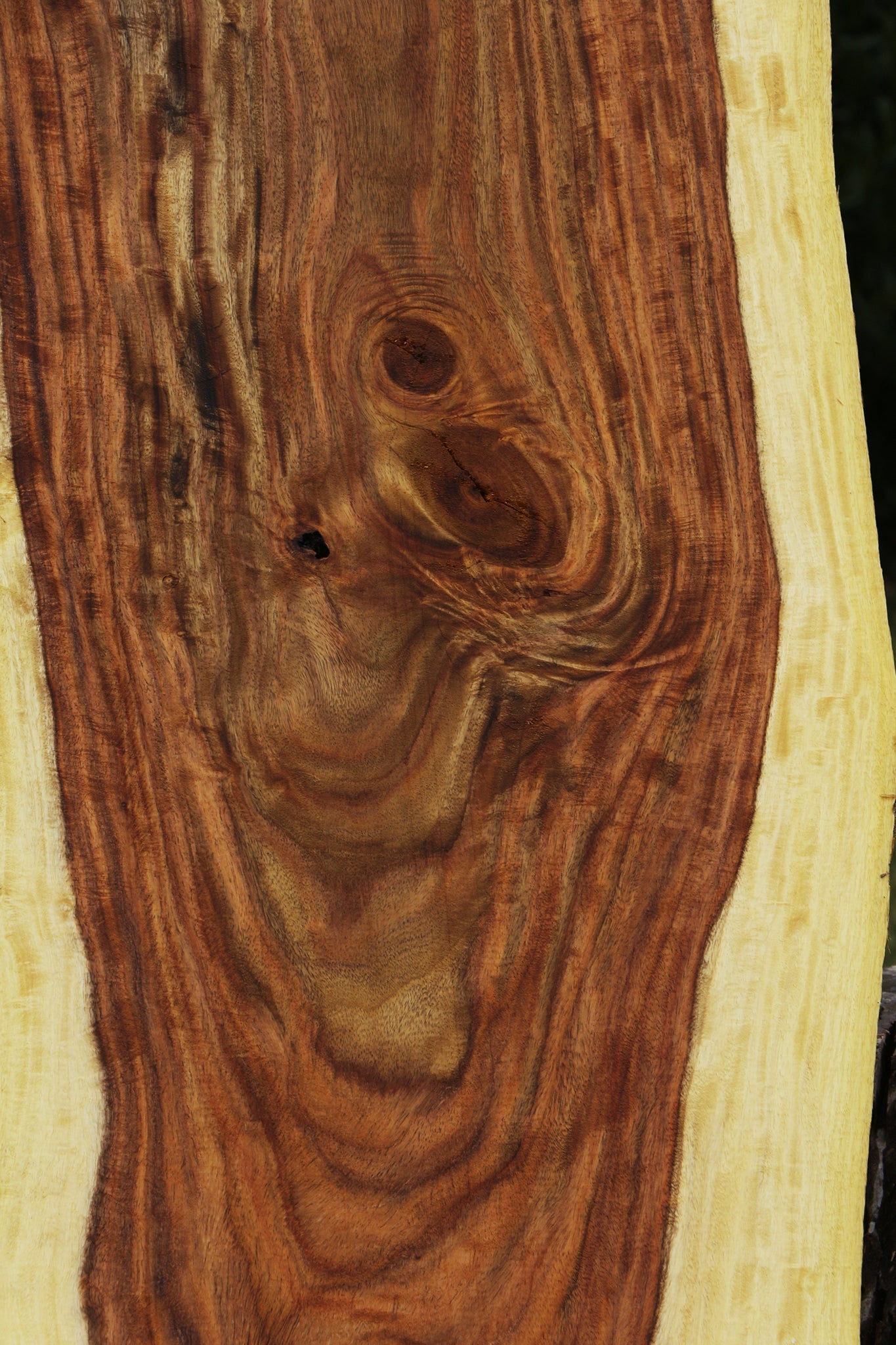 Extra Fancy East Indian Rosewood Live Edge Lumber
