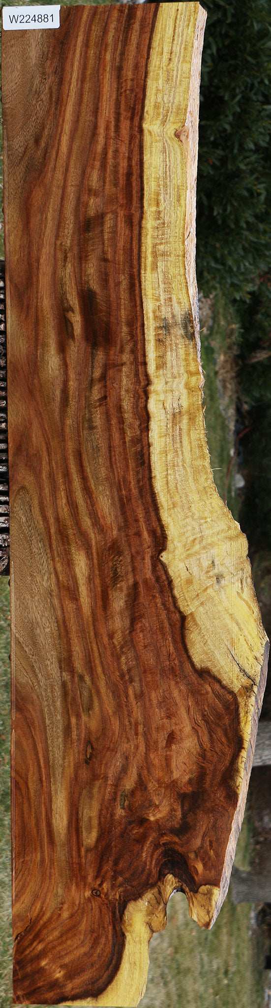 Extra Fancy Rustic East Indian Rosewood Live Edge Lumber