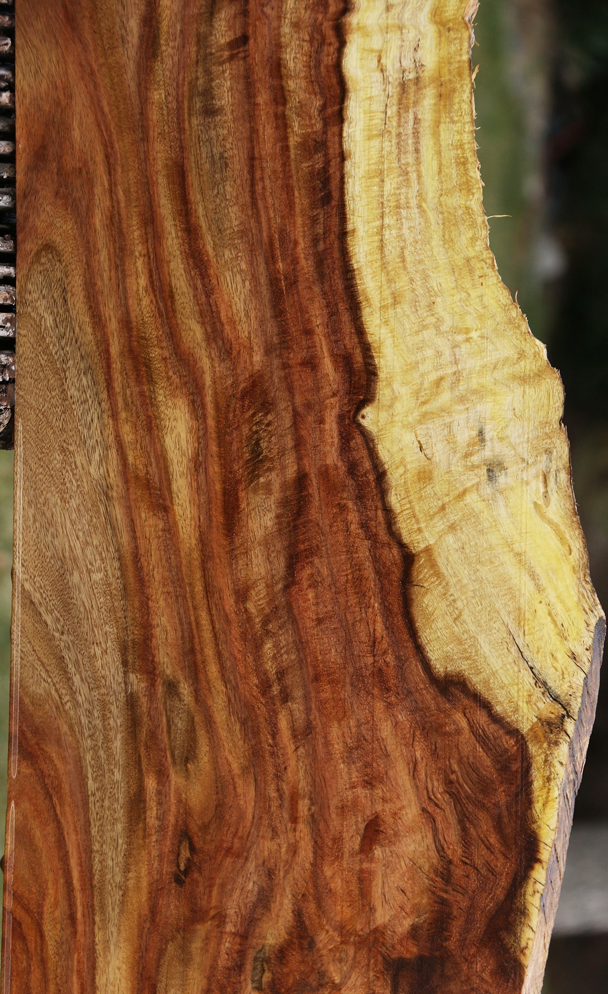 Extra Fancy Rustic East Indian Rosewood Live Edge Lumber