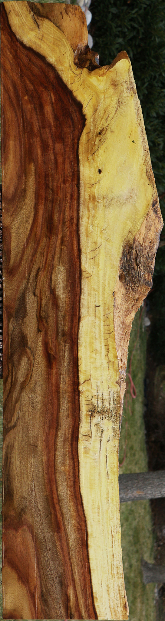 Extra Fancy Rustic East Indian Rosewood Live Edge Lumber