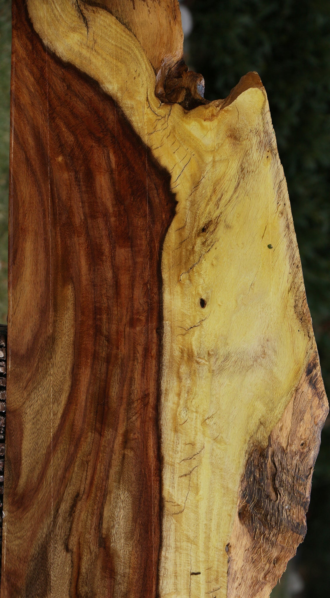 Extra Fancy Rustic East Indian Rosewood Live Edge Lumber