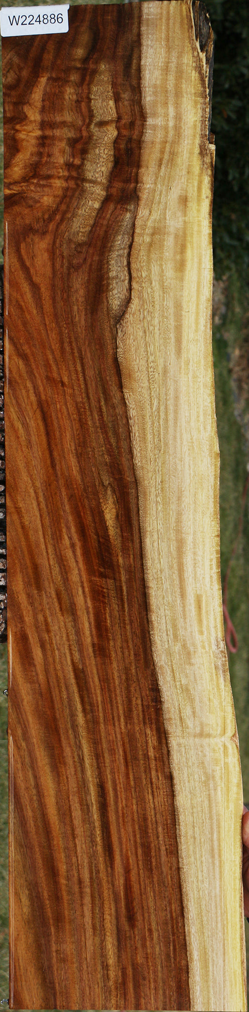 Figured East Indian Rosewood Live Edge Lumber