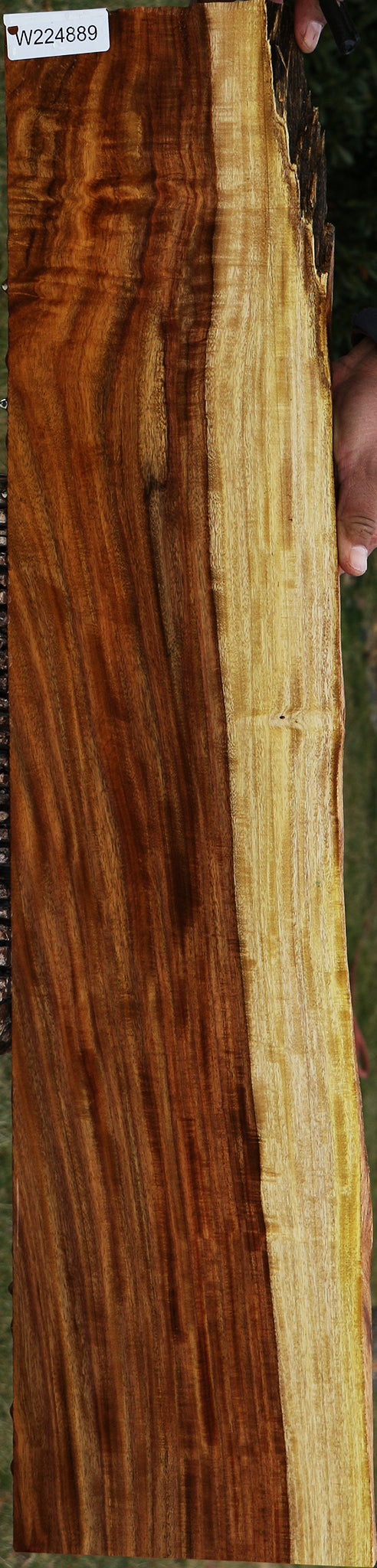 Instrument Wood – Cook Woods