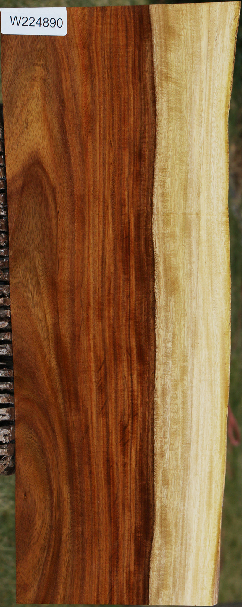 Figured East Indian Rosewood Live Edge Instrument Lumber