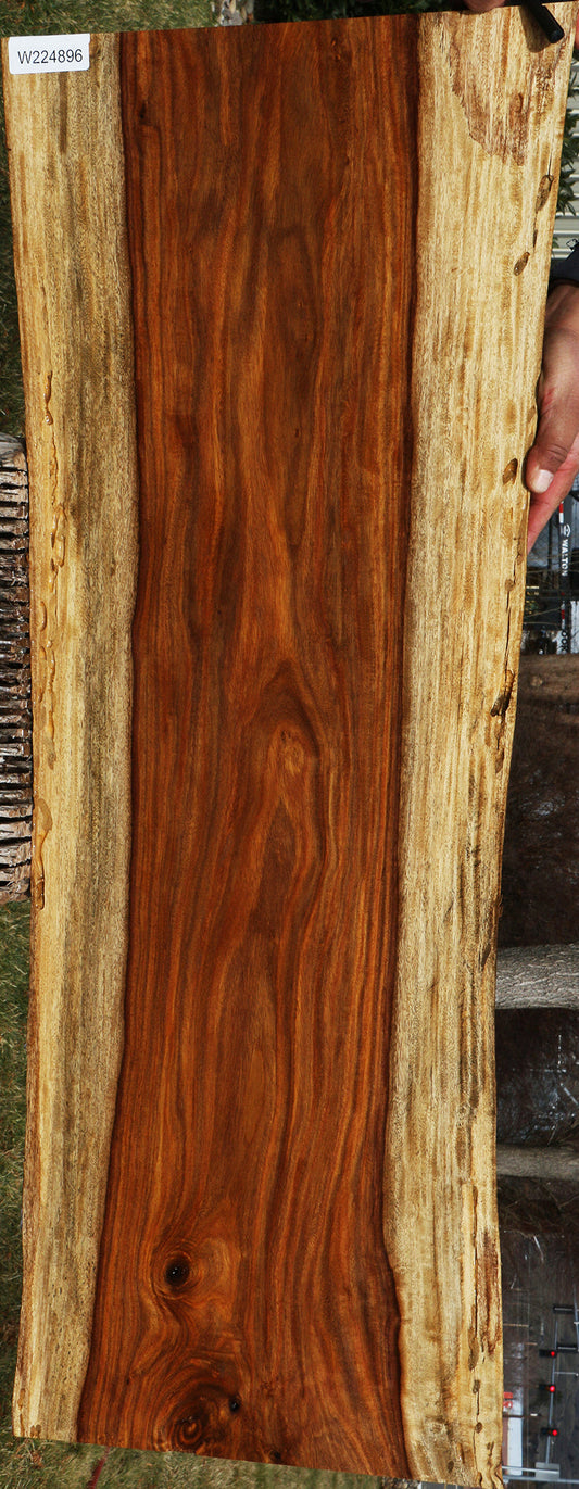 Rustic East Indian Rosewood Live Edge Lumber