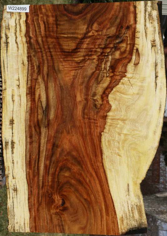 Extra Fancy Rustic East Indian Rosewood Live Edge Lumber