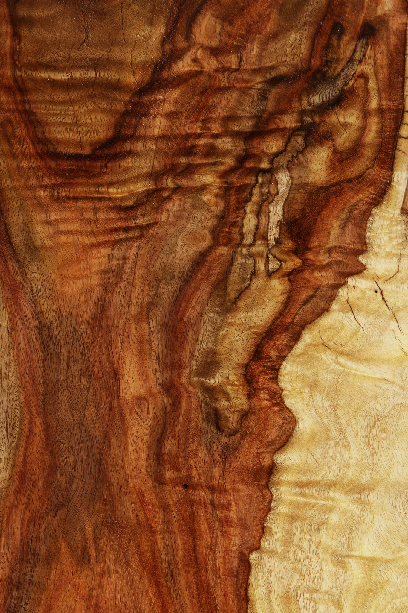 Extra Fancy Rustic East Indian Rosewood Live Edge Lumber