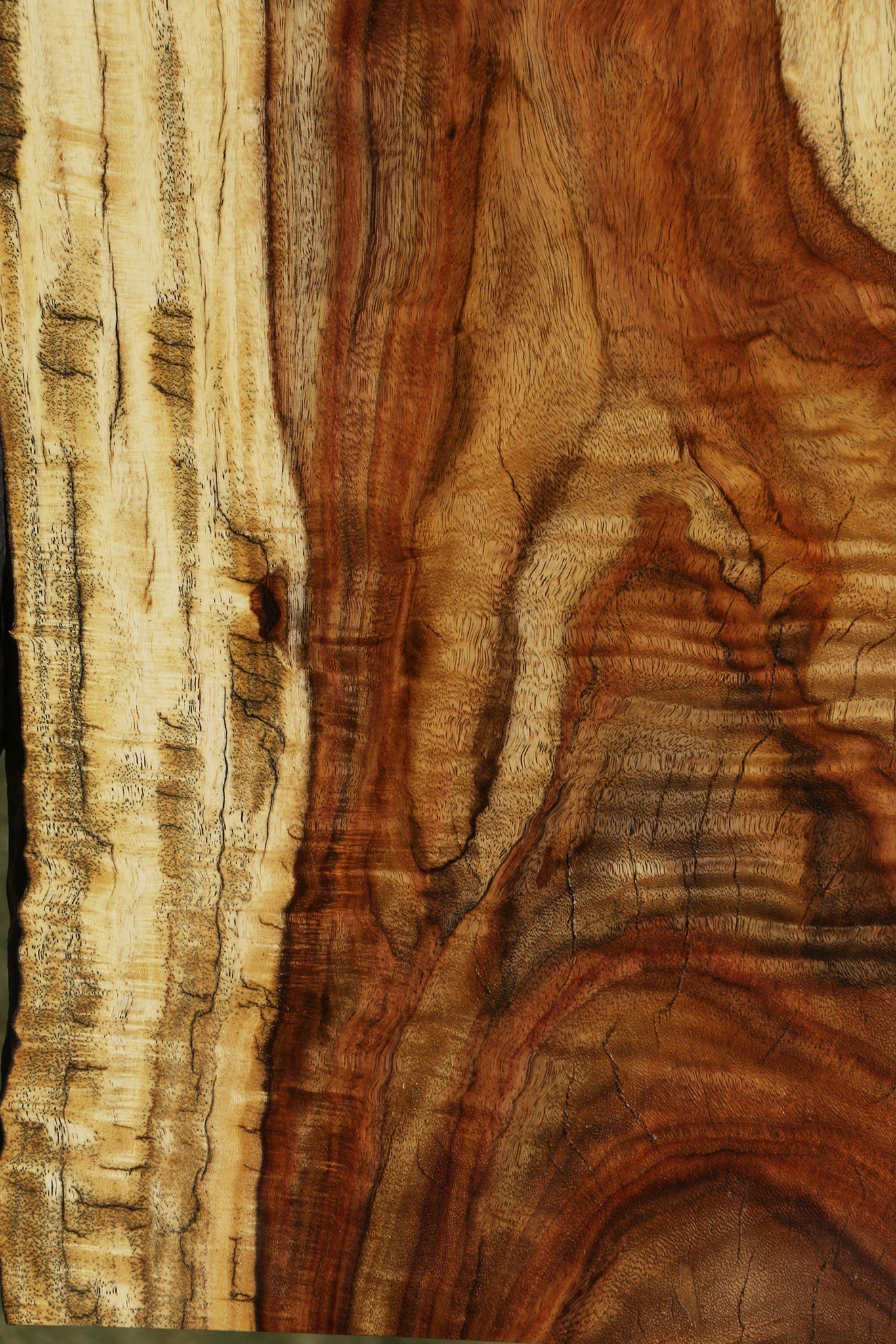 Extra Fancy Rustic East Indian Rosewood Live Edge Lumber