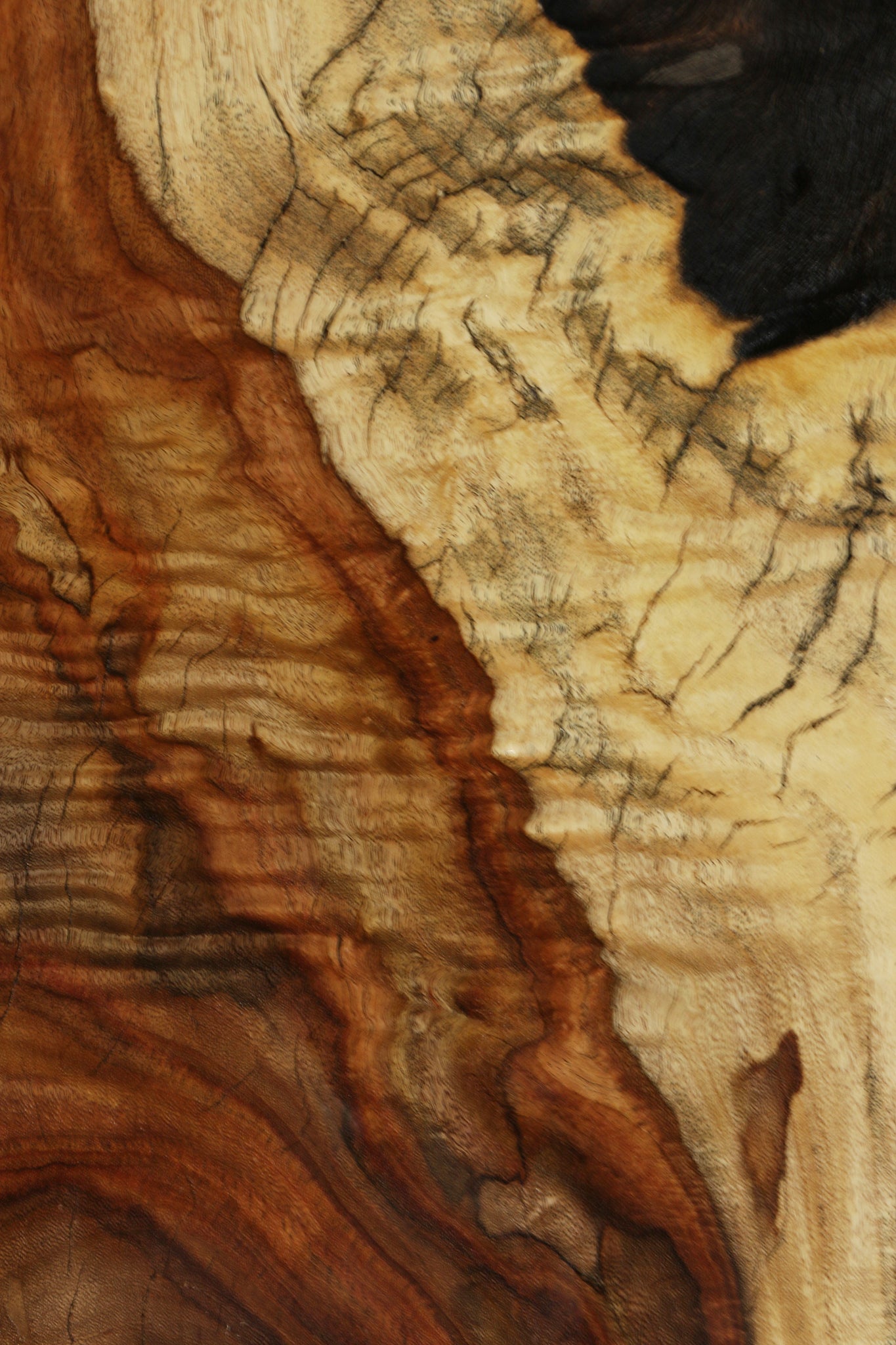 Extra Fancy Rustic East Indian Rosewood Live Edge Lumber