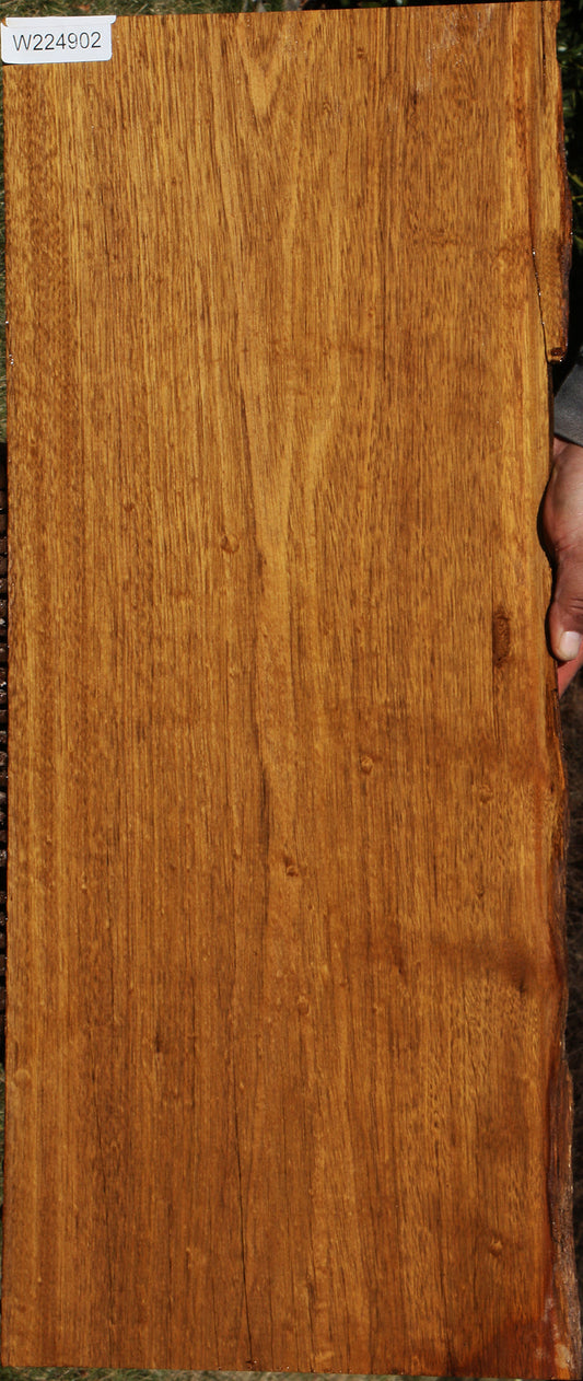 Ipe Live Edge Lumber