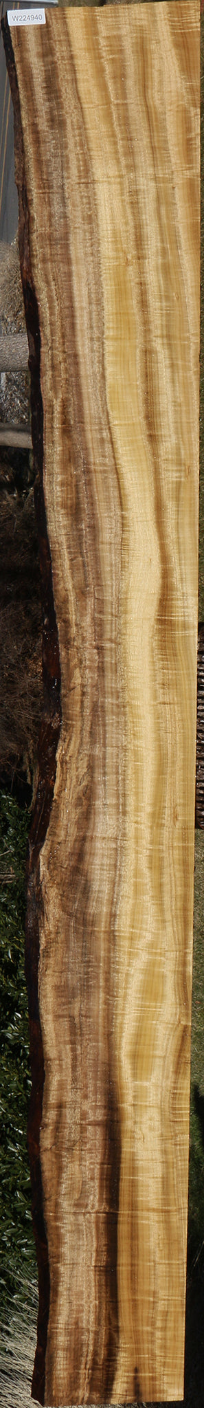 Extra Fancy Myrtle Live Edge Lumber