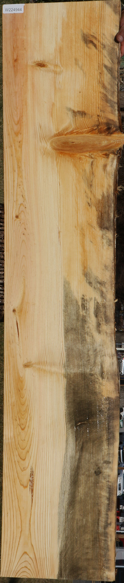 Blue Ponderosa Pine Live Edge Lumber