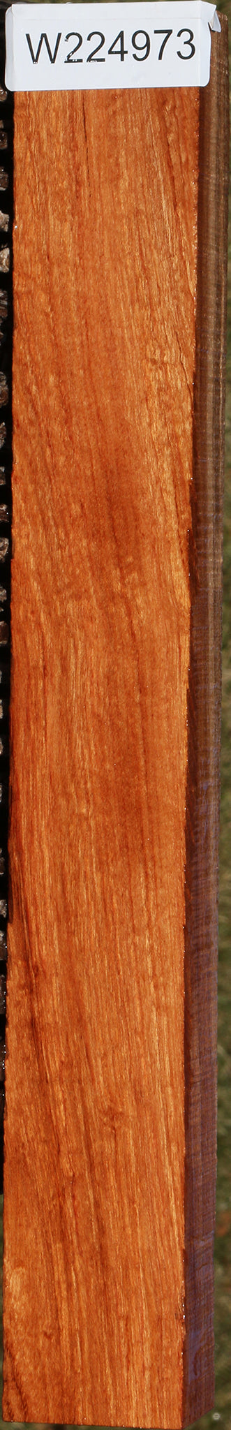 African Rosewood Lumber