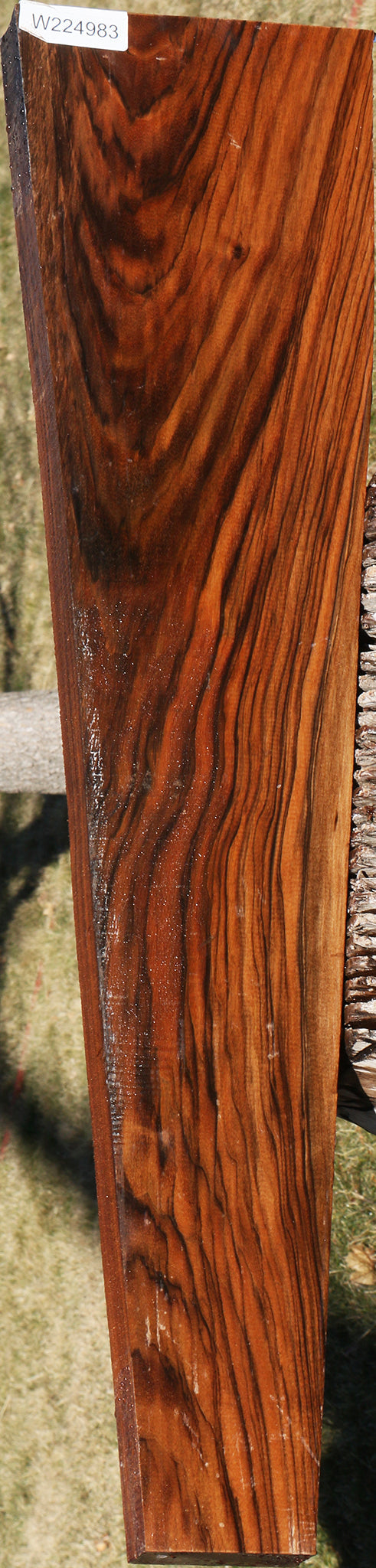 Extra Fancy English Walnut Gun Blank