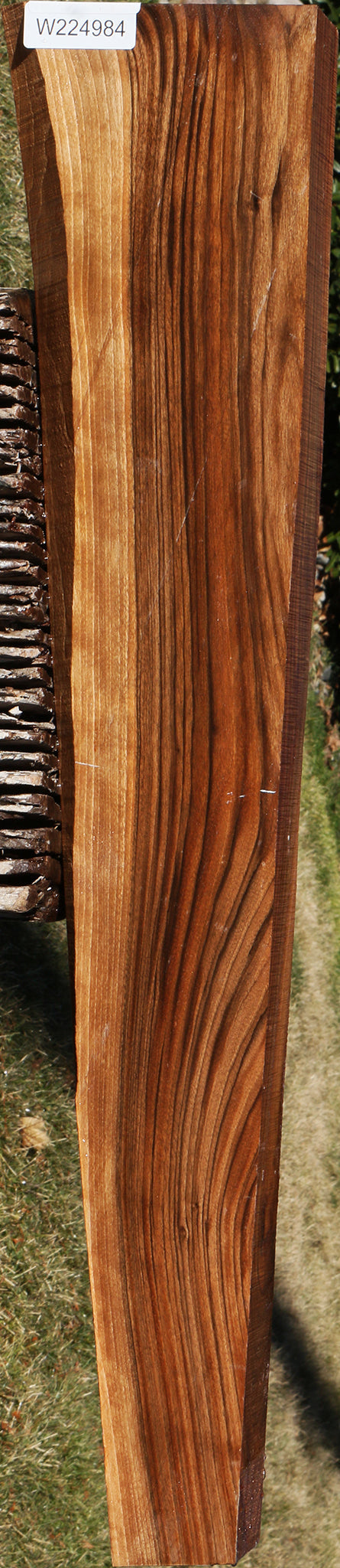 English Walnut Gun Blank