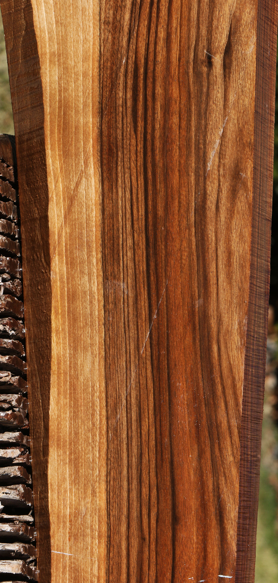 English Walnut Gun Blank