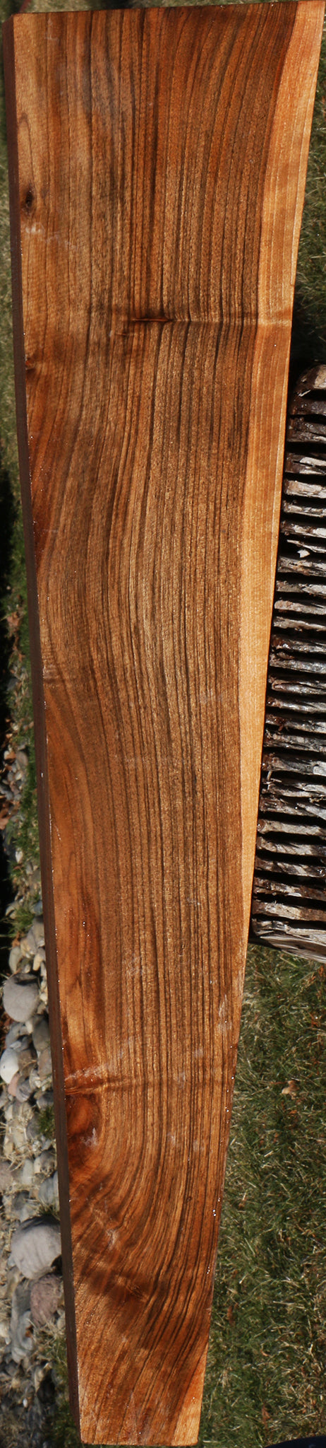 English Walnut Gun Blank