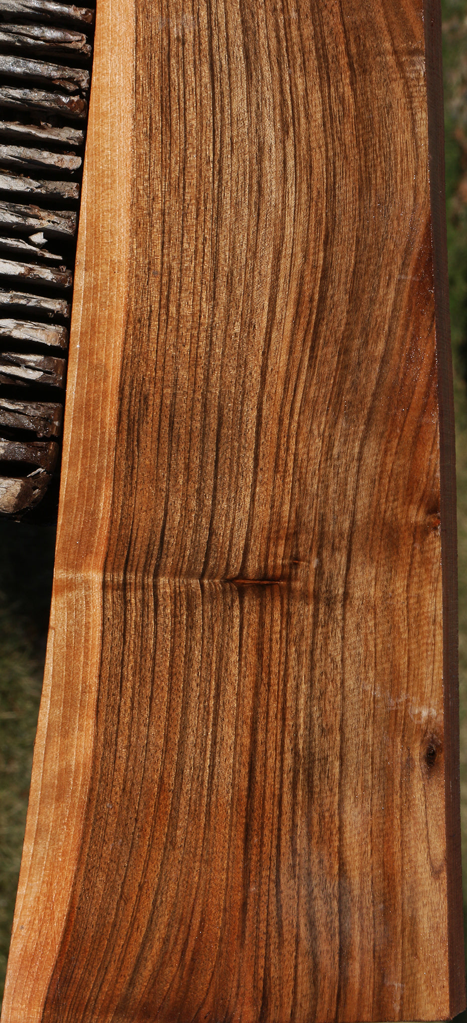 English Walnut Gun Blank