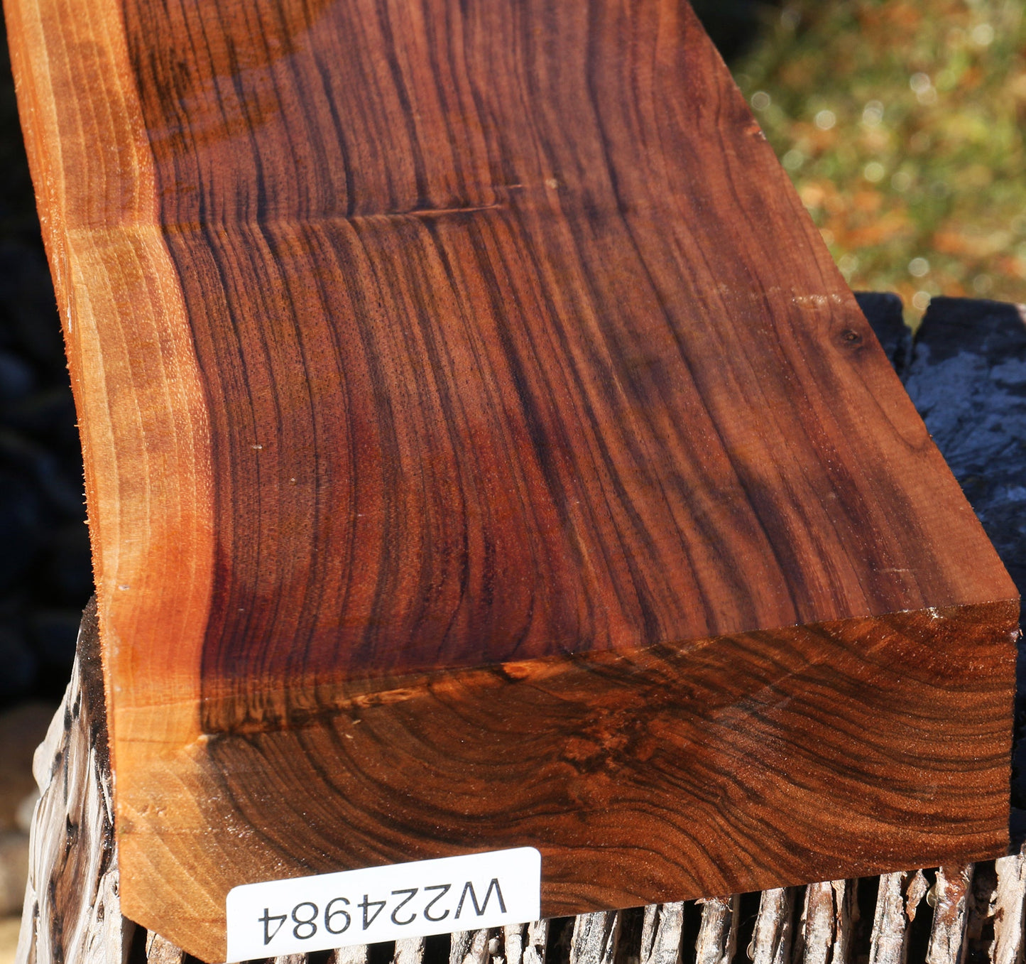 English Walnut Gun Blank