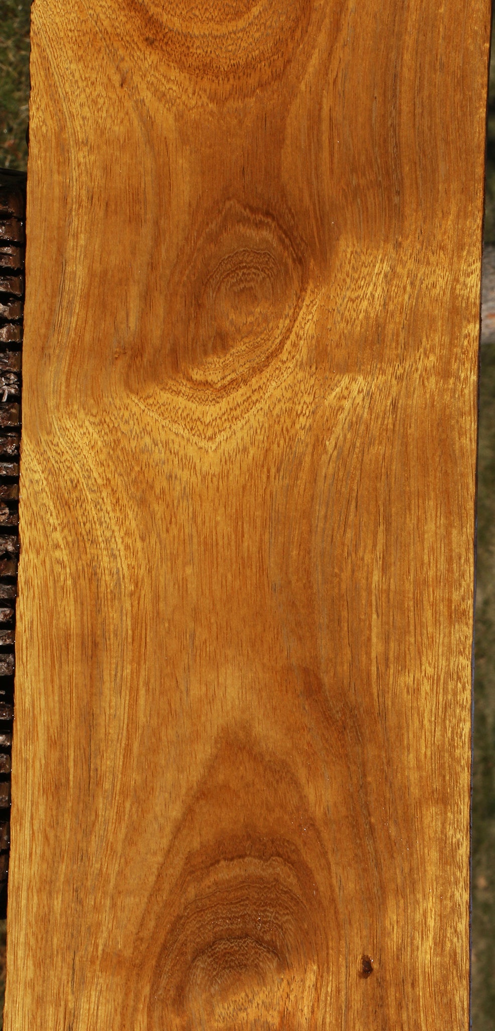African Teak Lumber