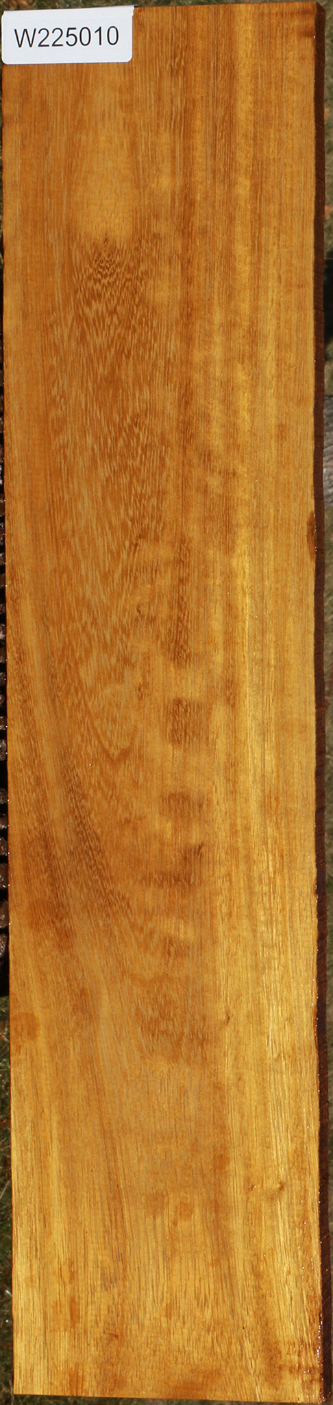 African Teak Lumber