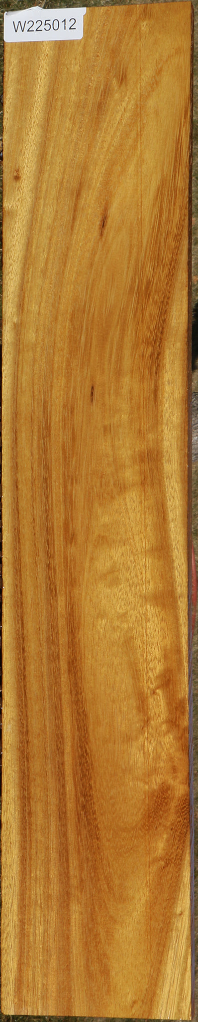 African Teak Lumber