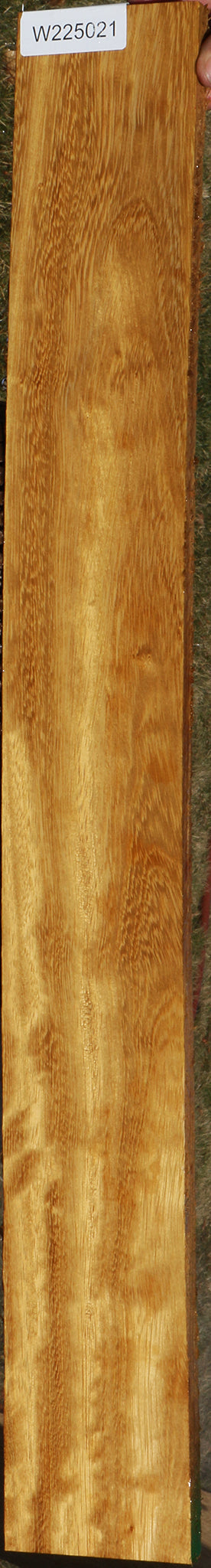 African Teak Lumber
