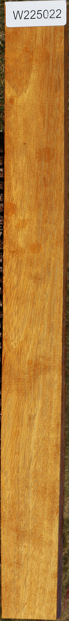 African Teak Lumber