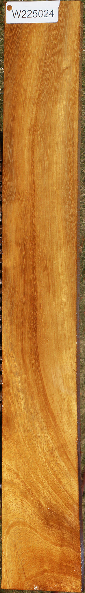 African Teak Lumber