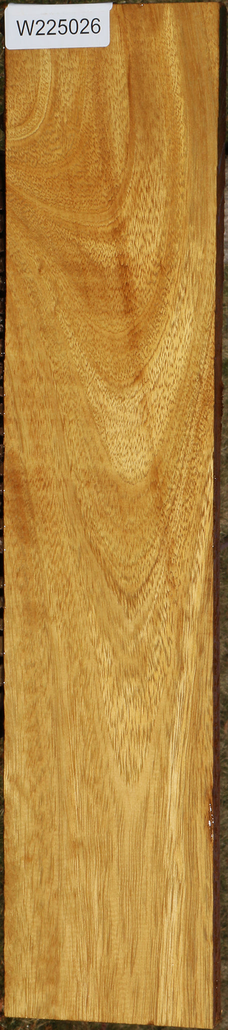 African Teak Lumber