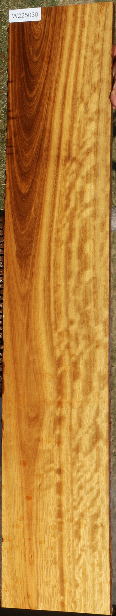 Extra Fancy African Teak Lumber